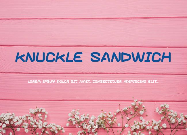 Knuckle sandwich example